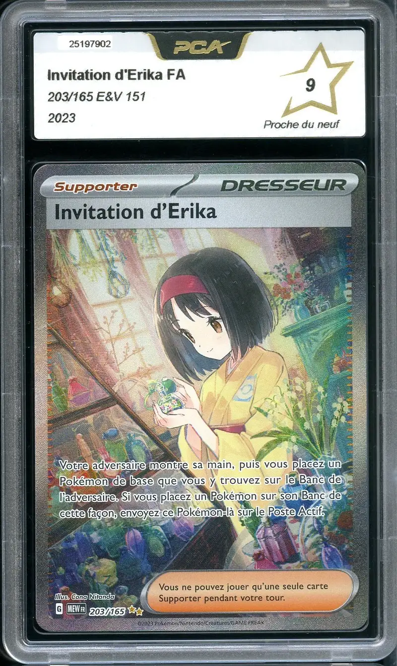 PCA 9 Invitation d'Erika