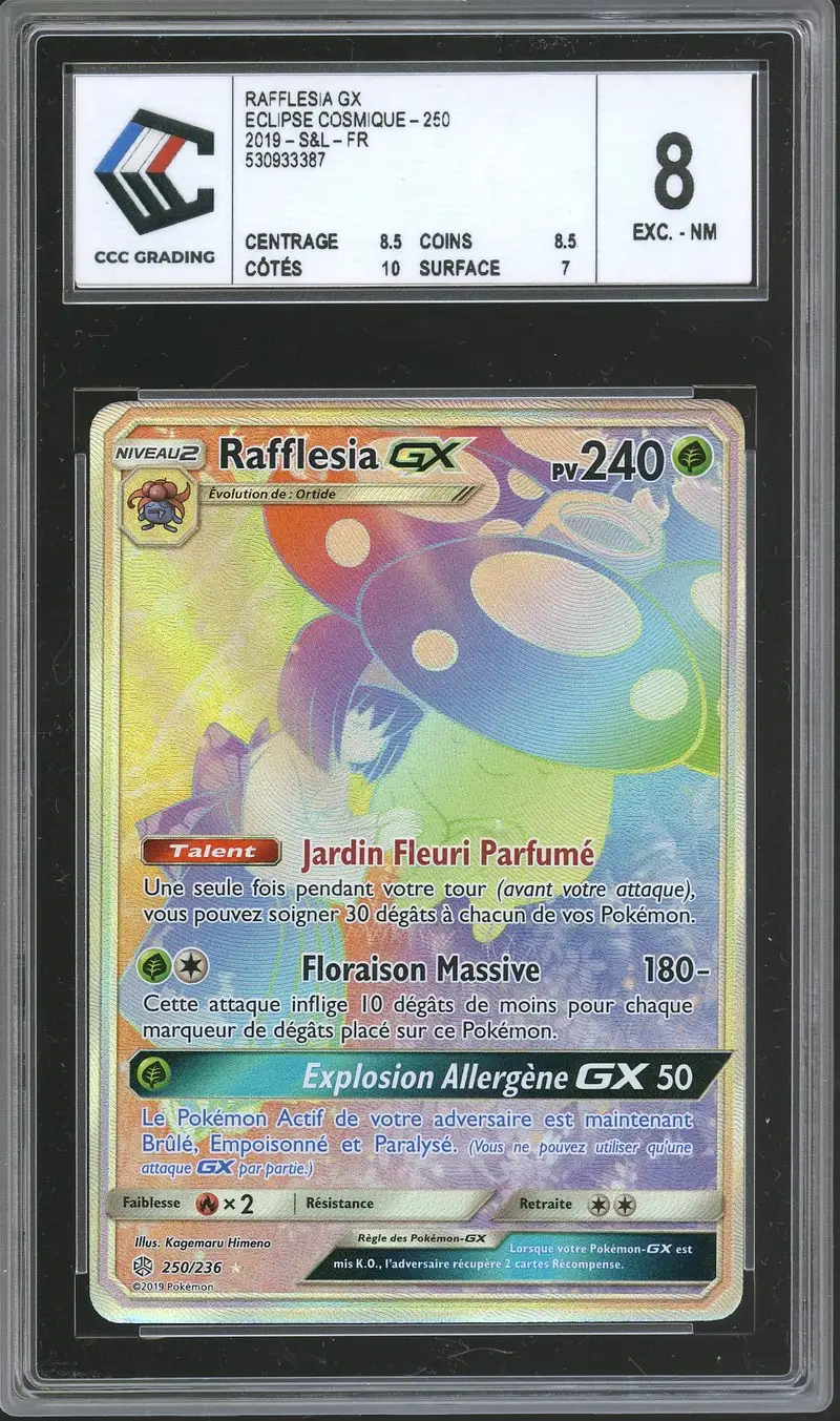 CCC 8 Rafflesia Gx Rainbow