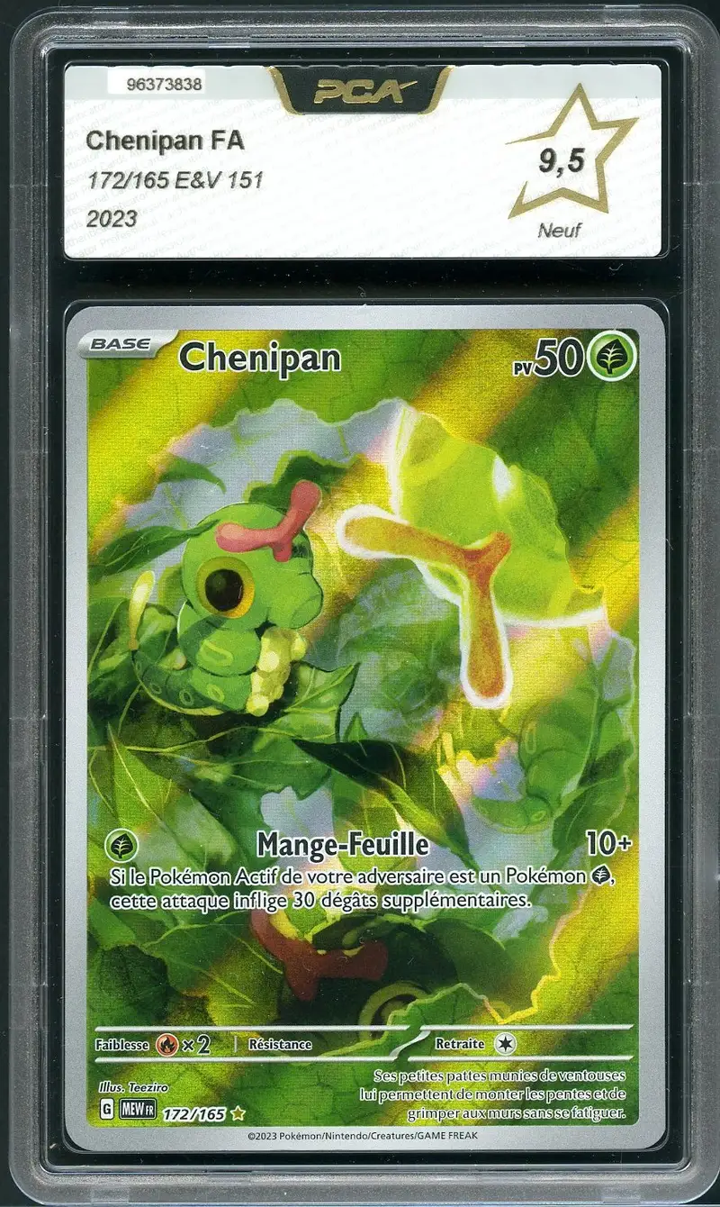 PCA 9.5 Chenipan