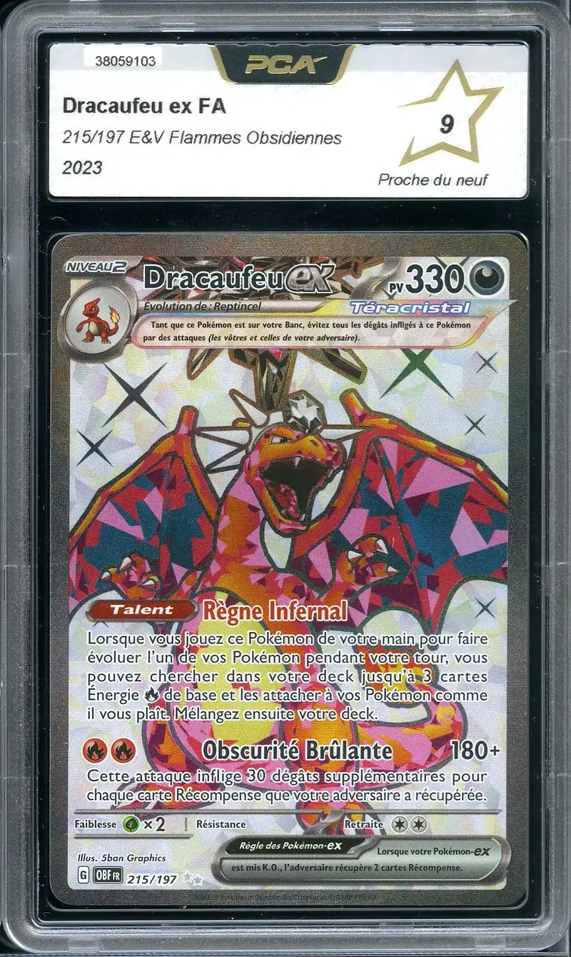 PCA 9 Dracaufeu Ex