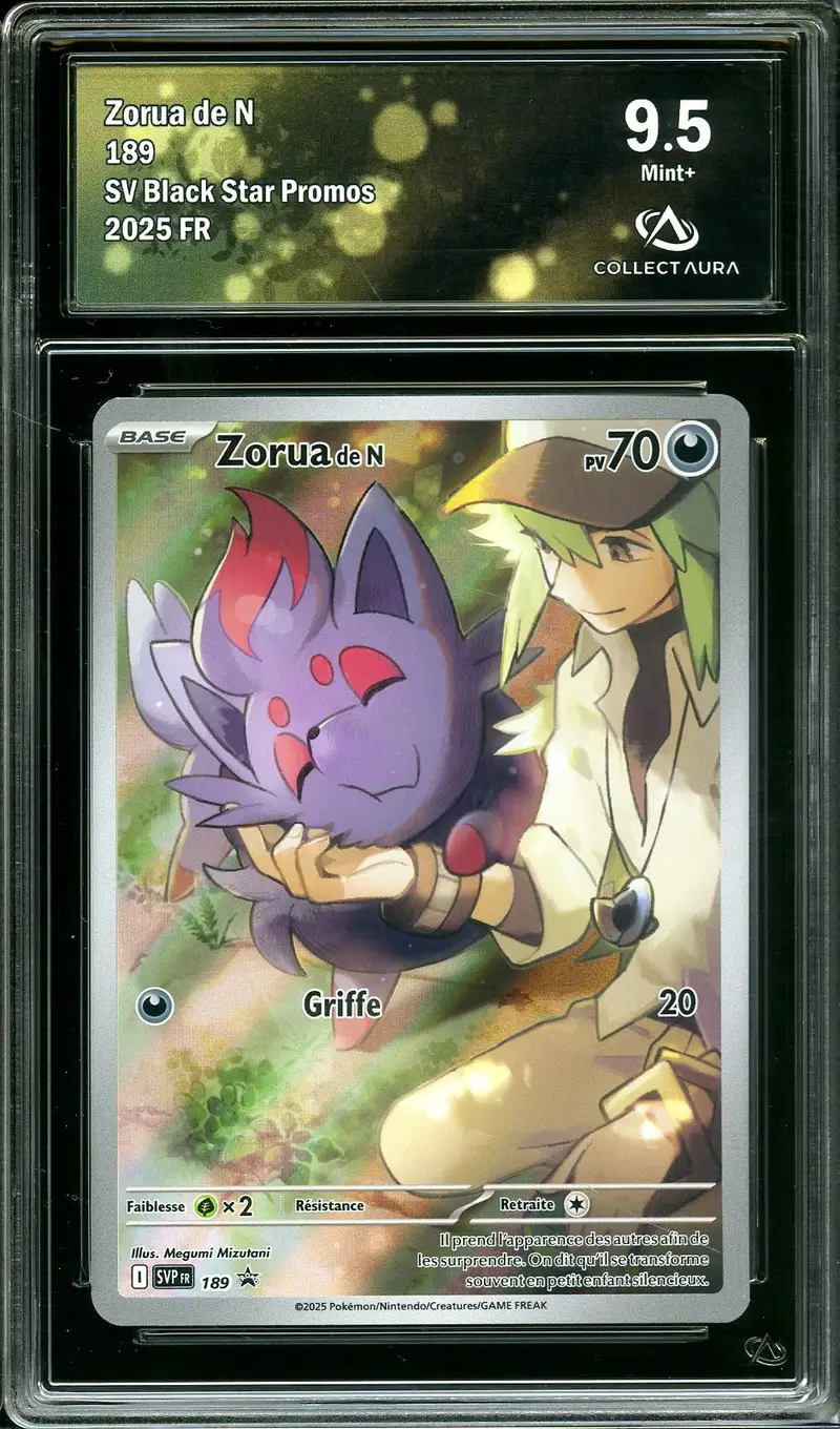 CA 9.5 Zorua de N