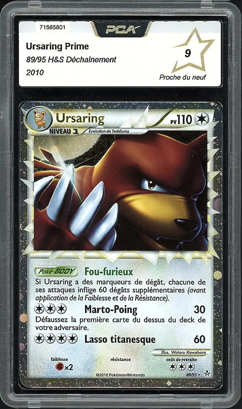 PCA 9 Ursaring Prime