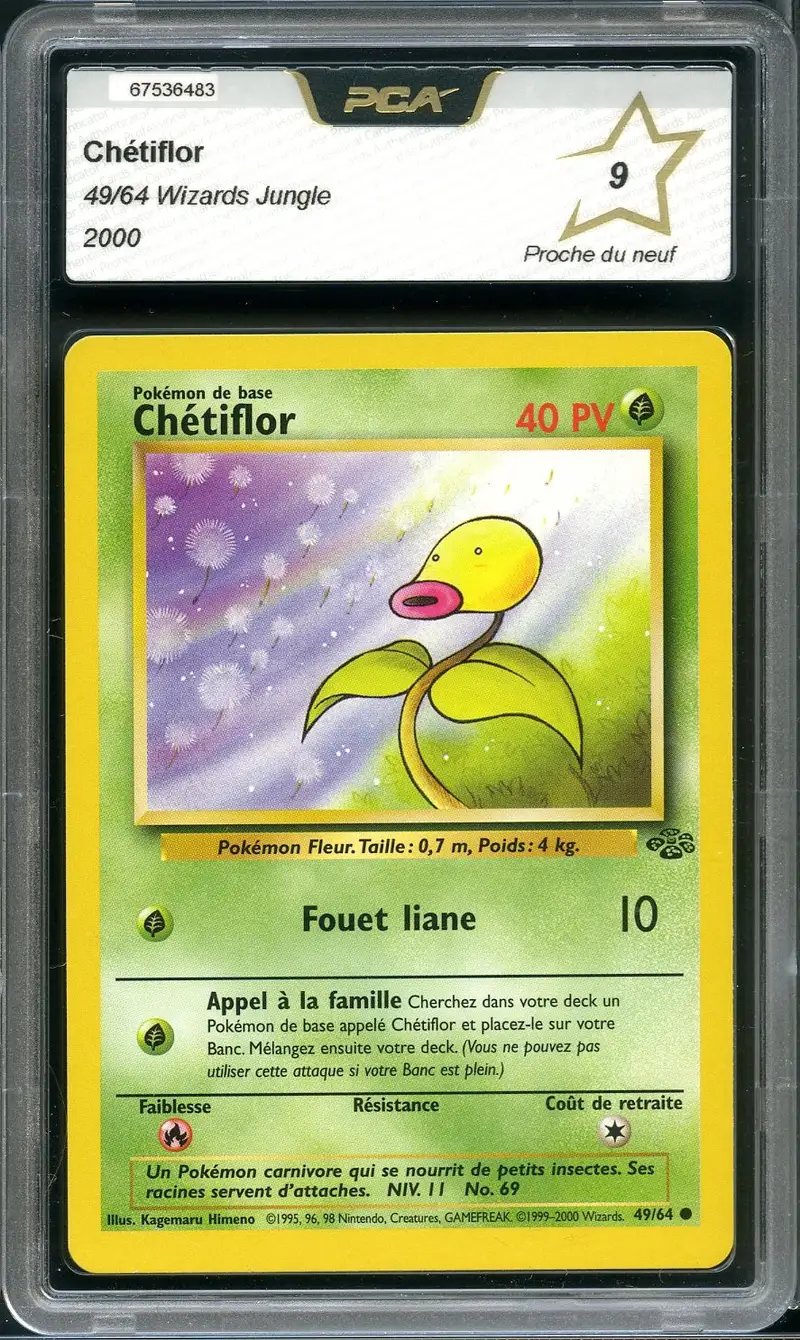 PCA 9 Chétiflor
