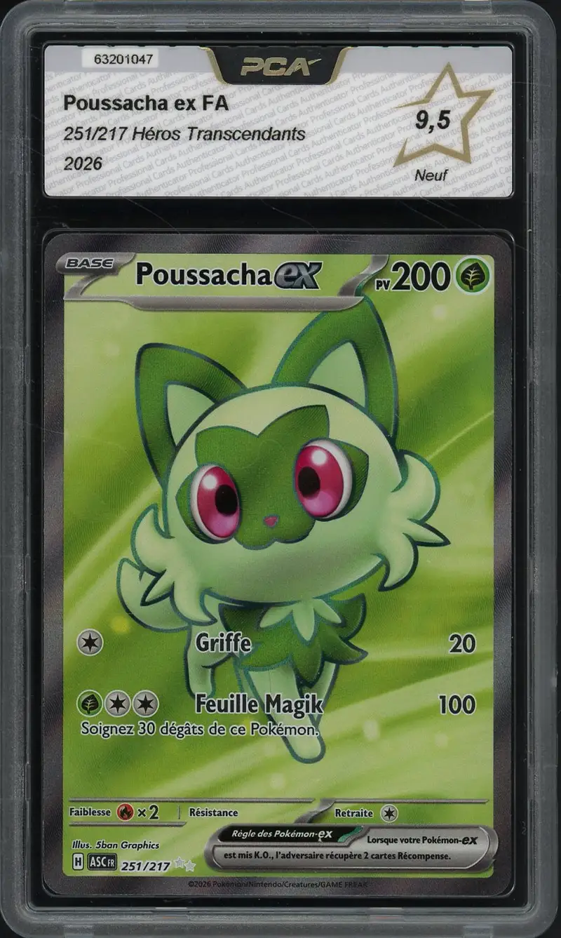 PCA 9.5 Poussacha Ex