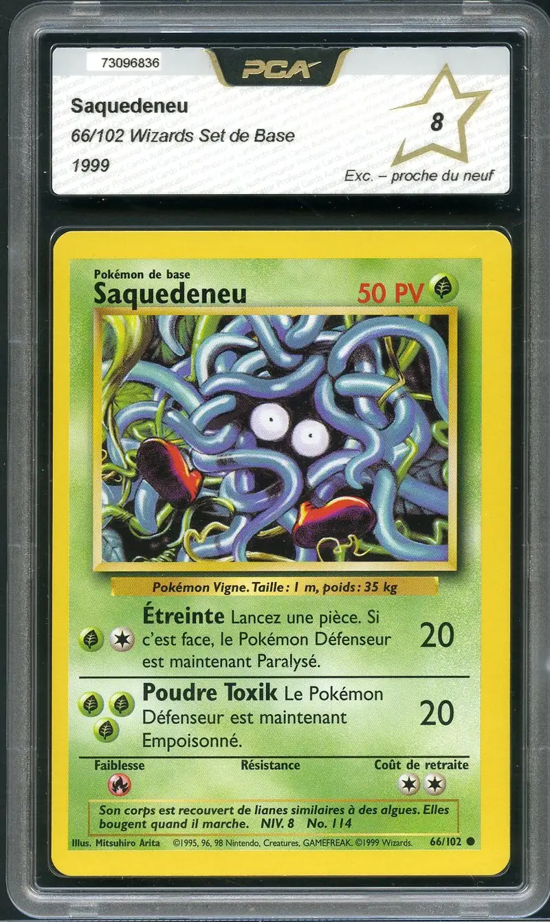 PCA 8 Saquedeneu