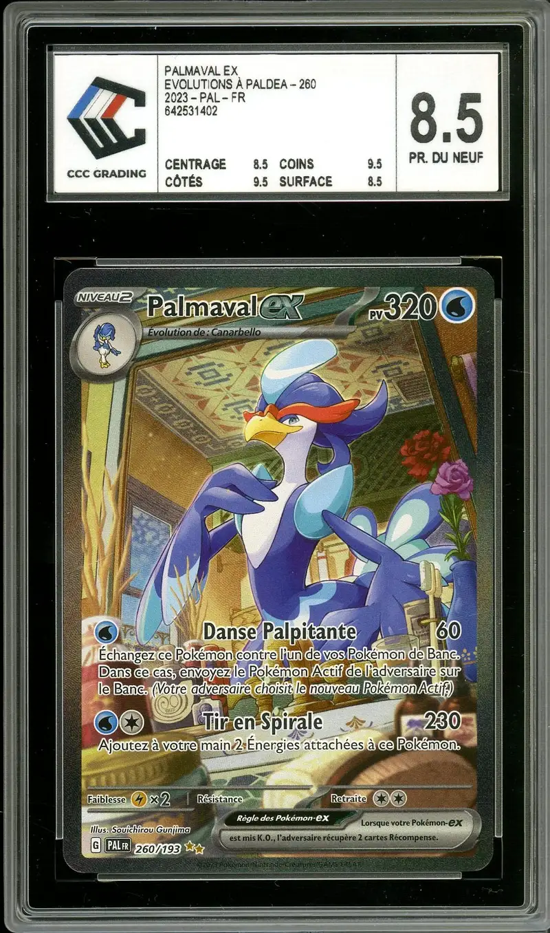 CCC 8.5 Palmaval Ex