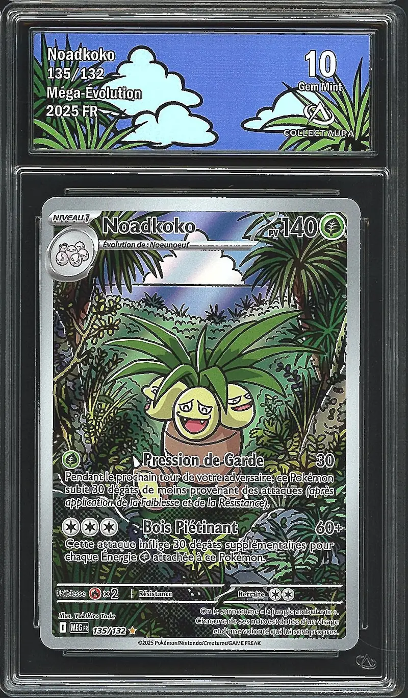 CA 10 Noadkoko