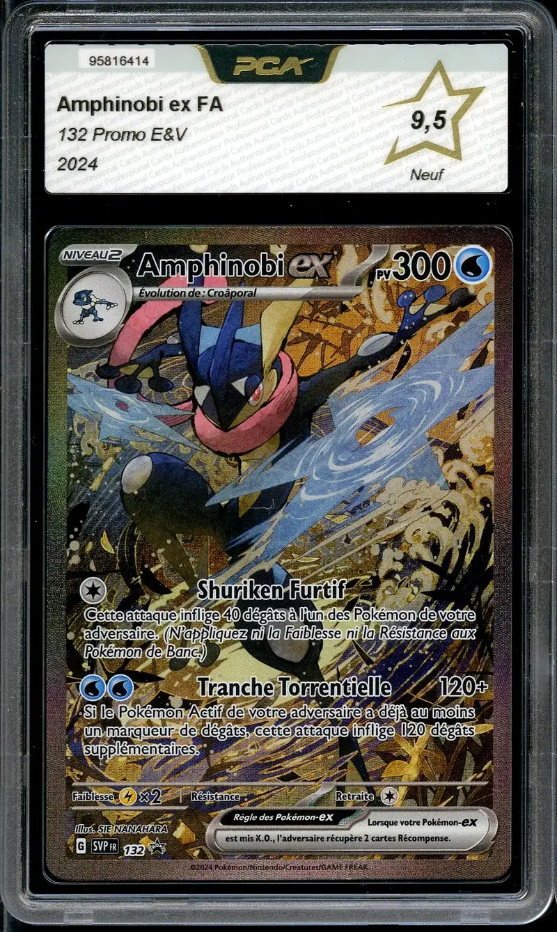 PCA 9.5 Amphinobi Ex