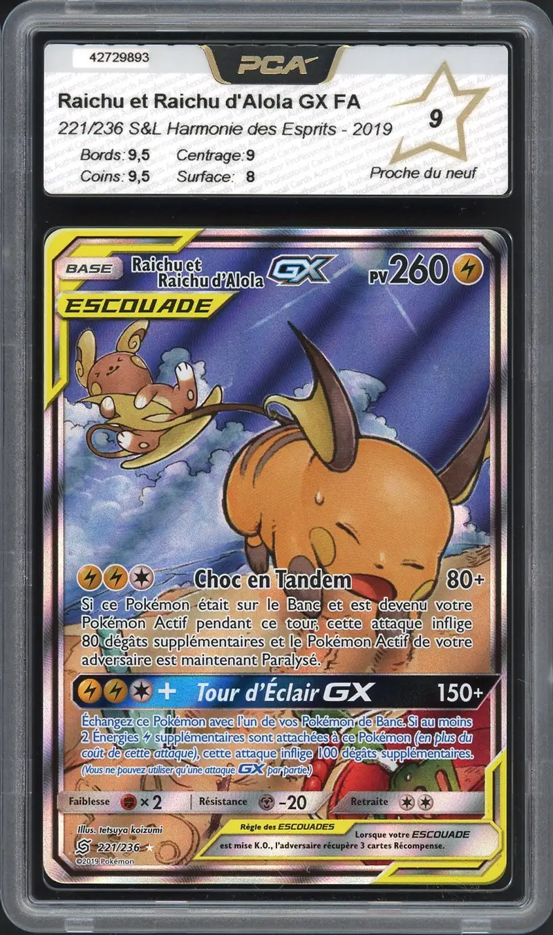 PCA 9 Raichu et Raichu d'Alola Gx