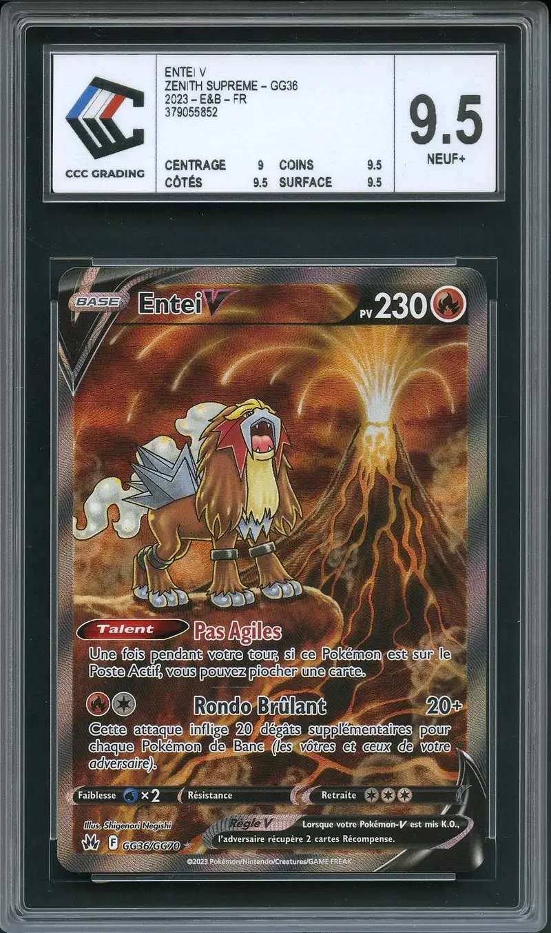 CCC 9.5 Entei V