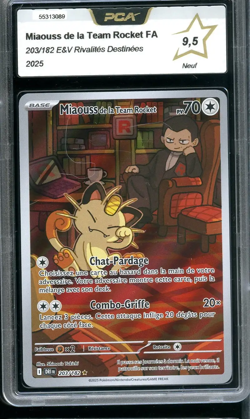 PCA 9.5 Miaouss de la Team Rocket