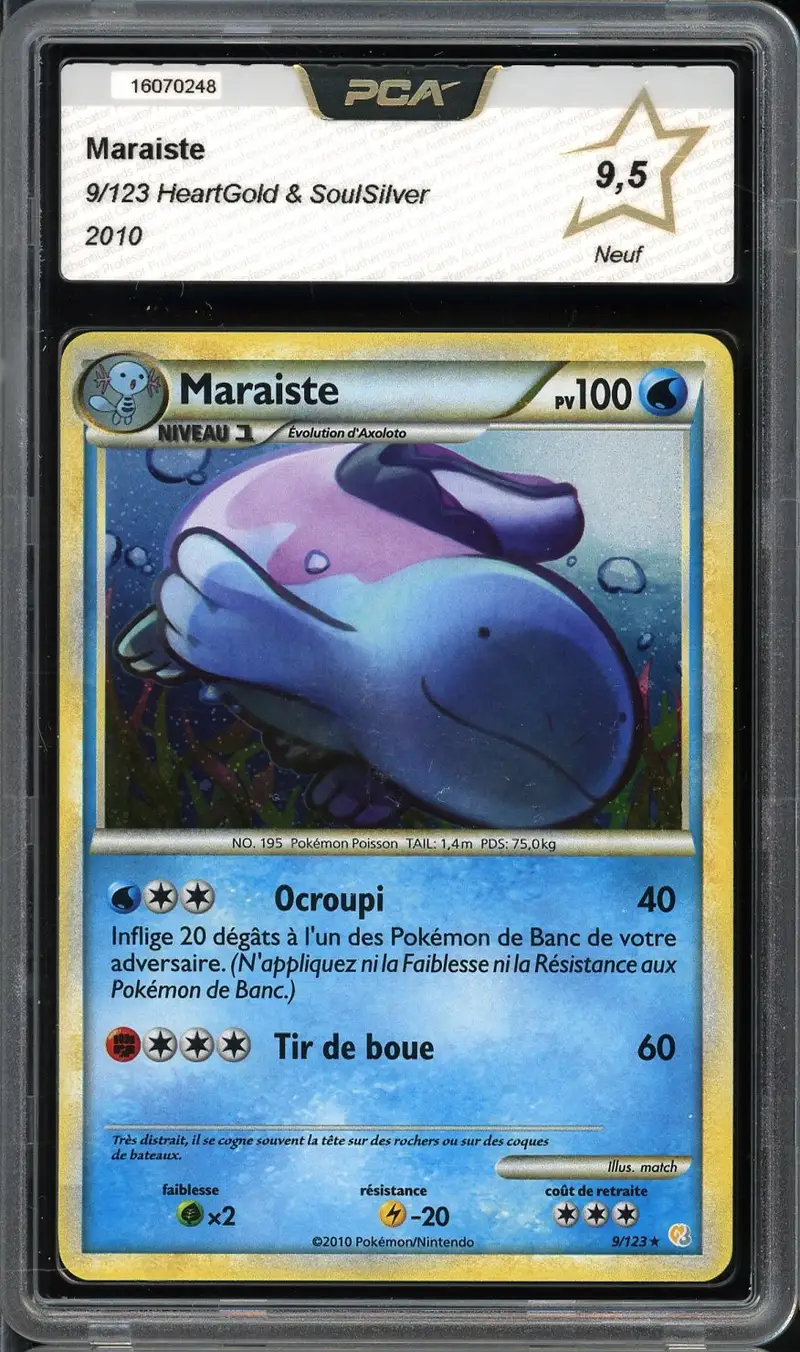 PCA 9.5 Maraiste Holo