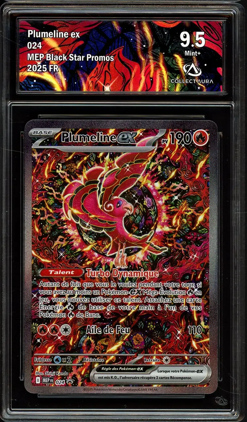 CA 9.5 Plumeline Ex