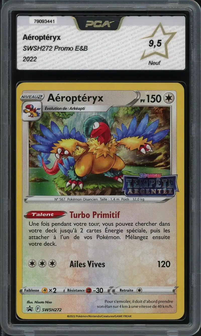 PCA 9.5 Aéroptéryx