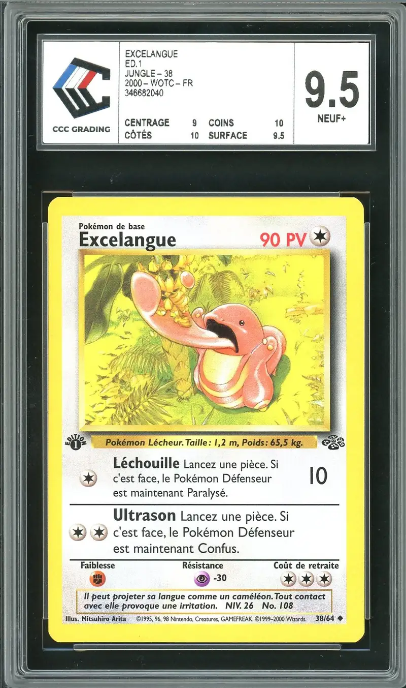CCC 9.5 Excelangue