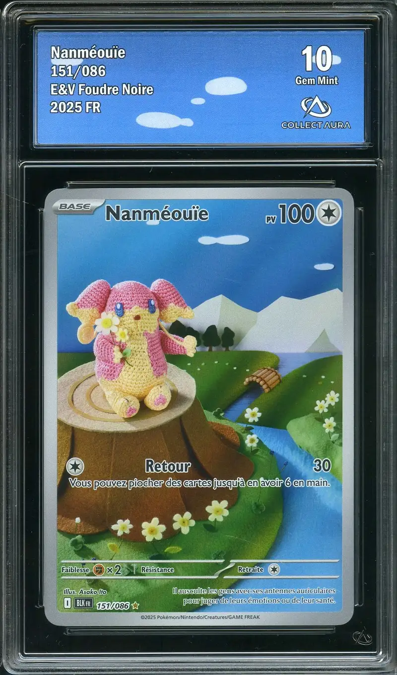 CA 10 Nanméouïe