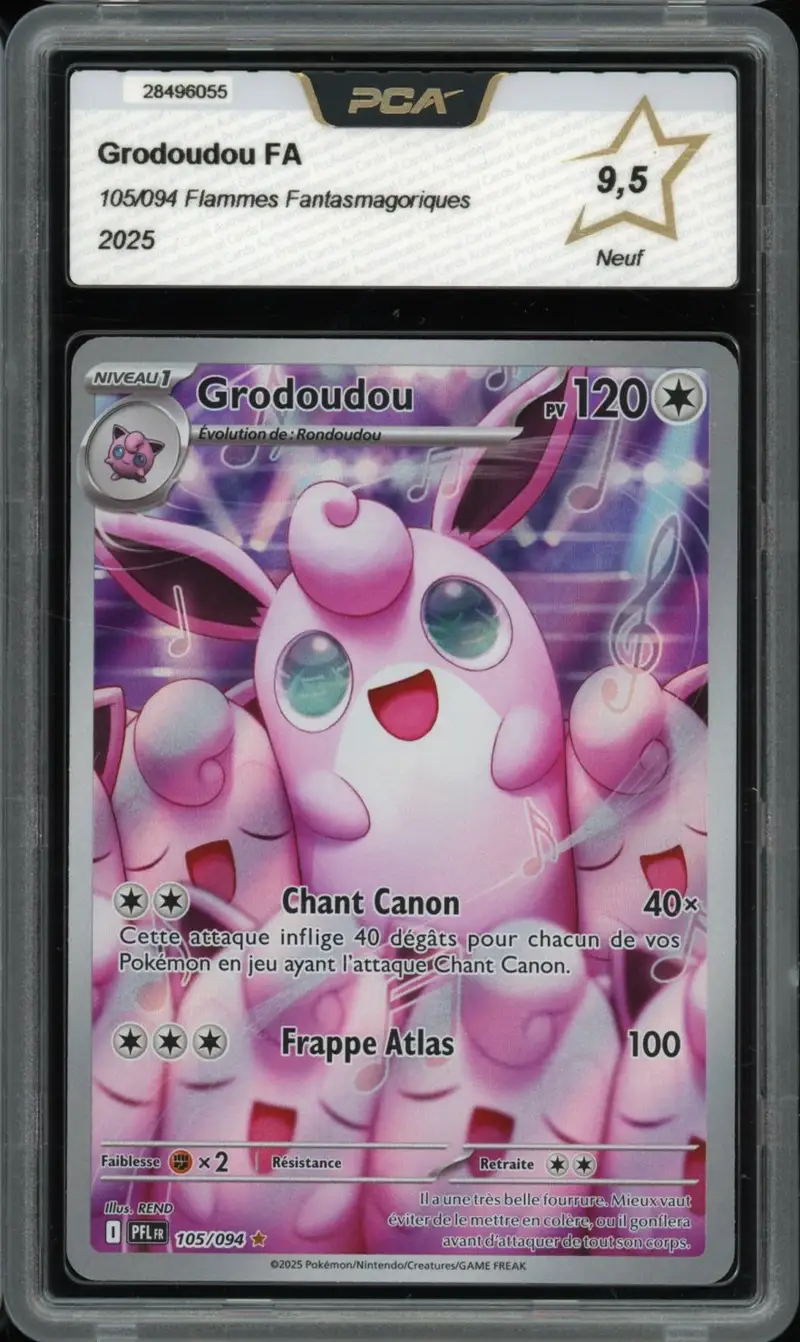 PCA 9.5 Grodoudou