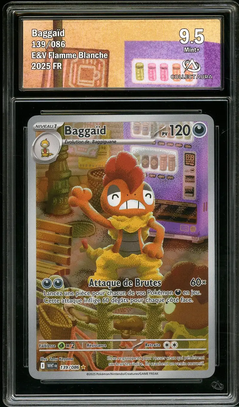 CA 9.5 Baggaïd