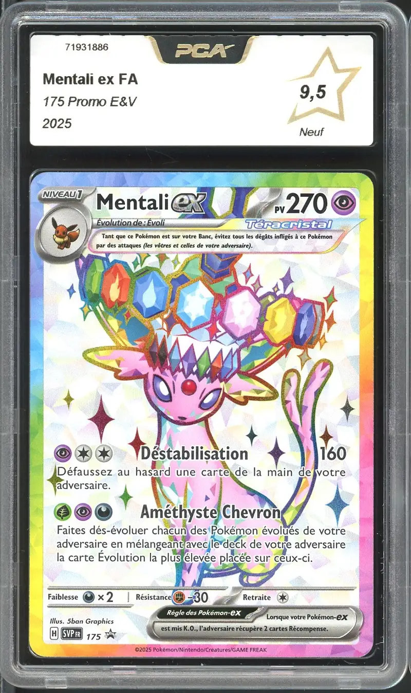 PCA 9.5 Mentali Ex