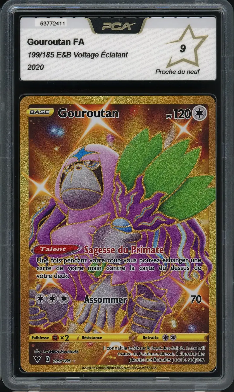 PCA 9 Gouroutan Gold