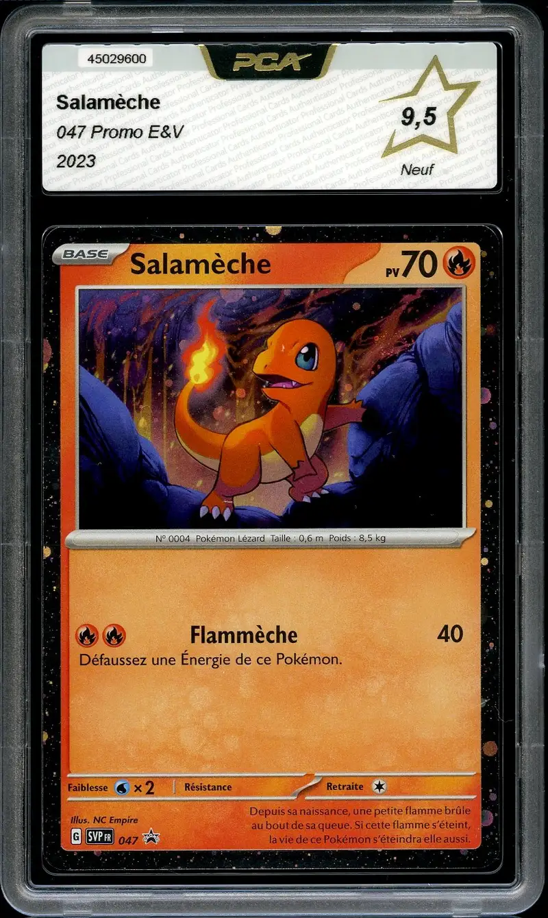 PCA 9.5 Salamèche Holo