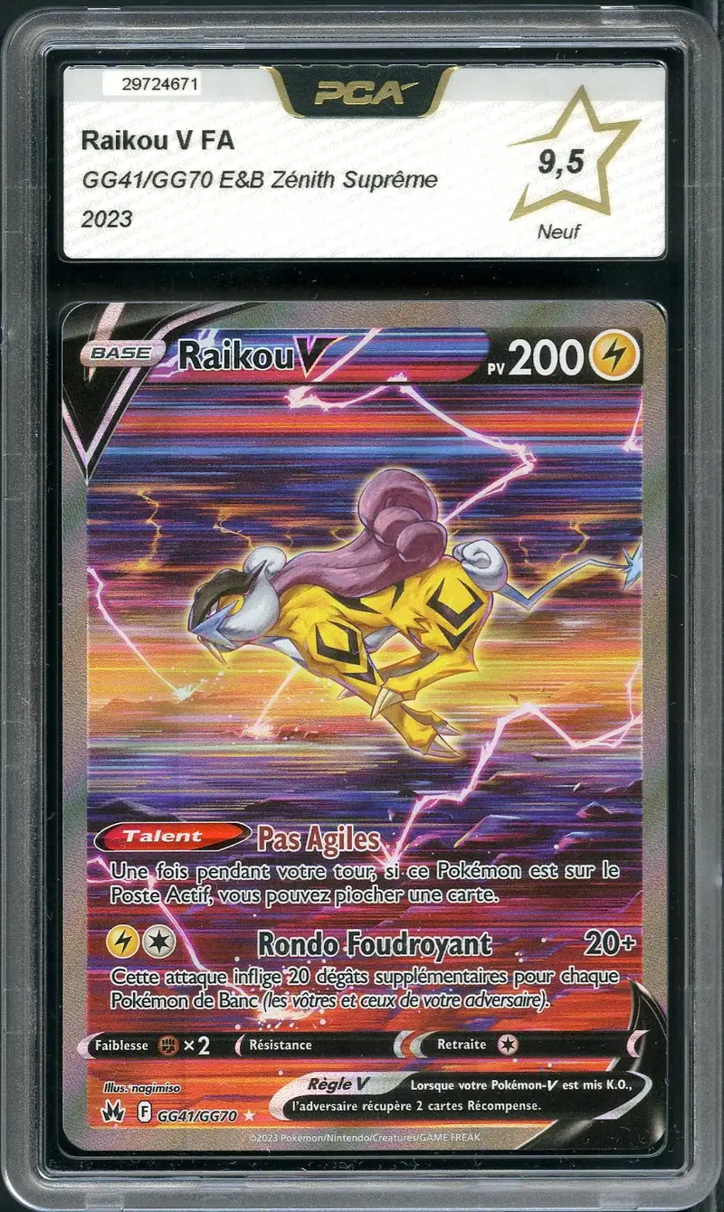 PCA 9.5 Raikou V