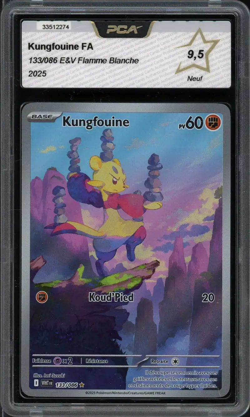 PCA 9.5 Kungfouine