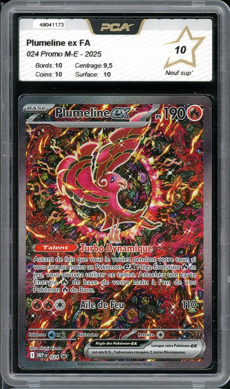PCA 10 Plumeline Ex
