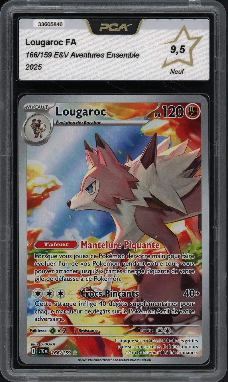 PCA 9.5 Lougaroc
