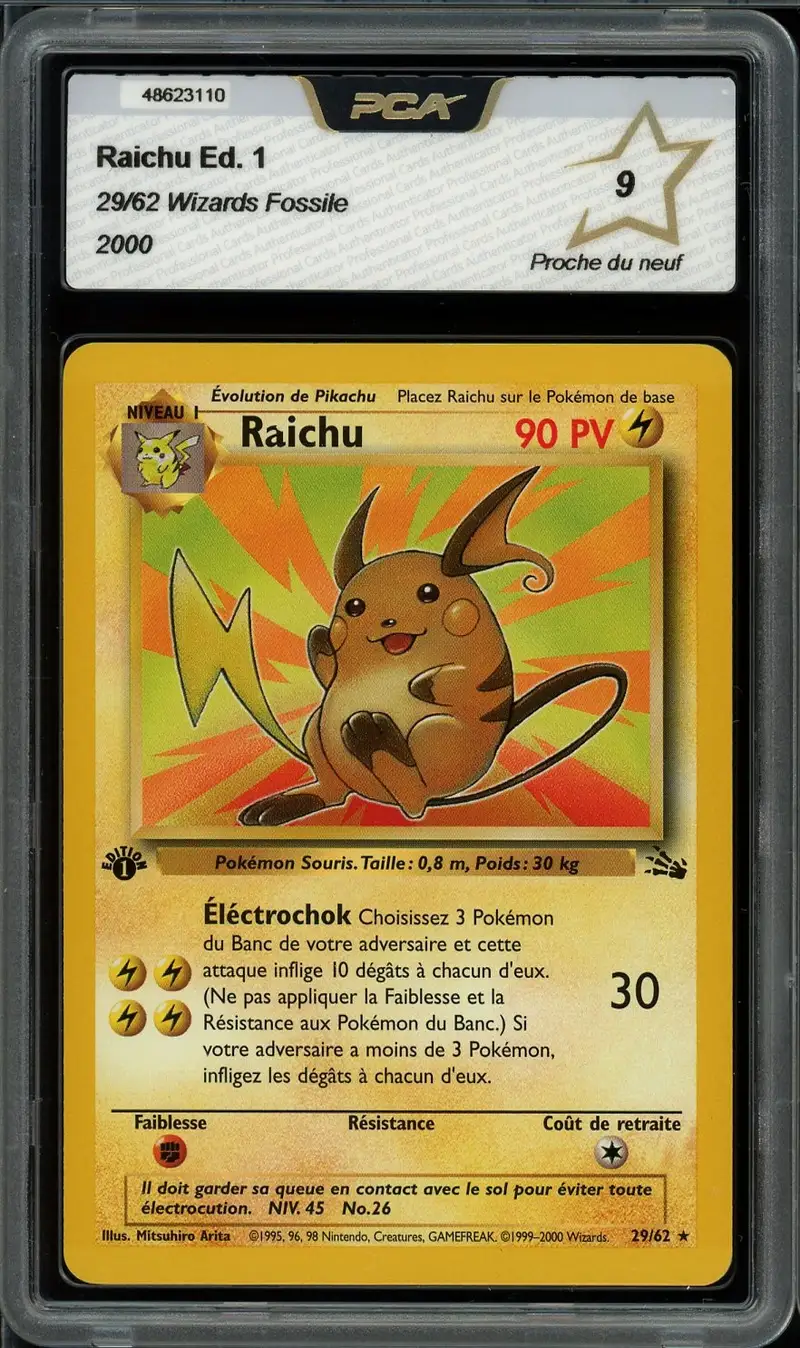 PCA 9 Raichu