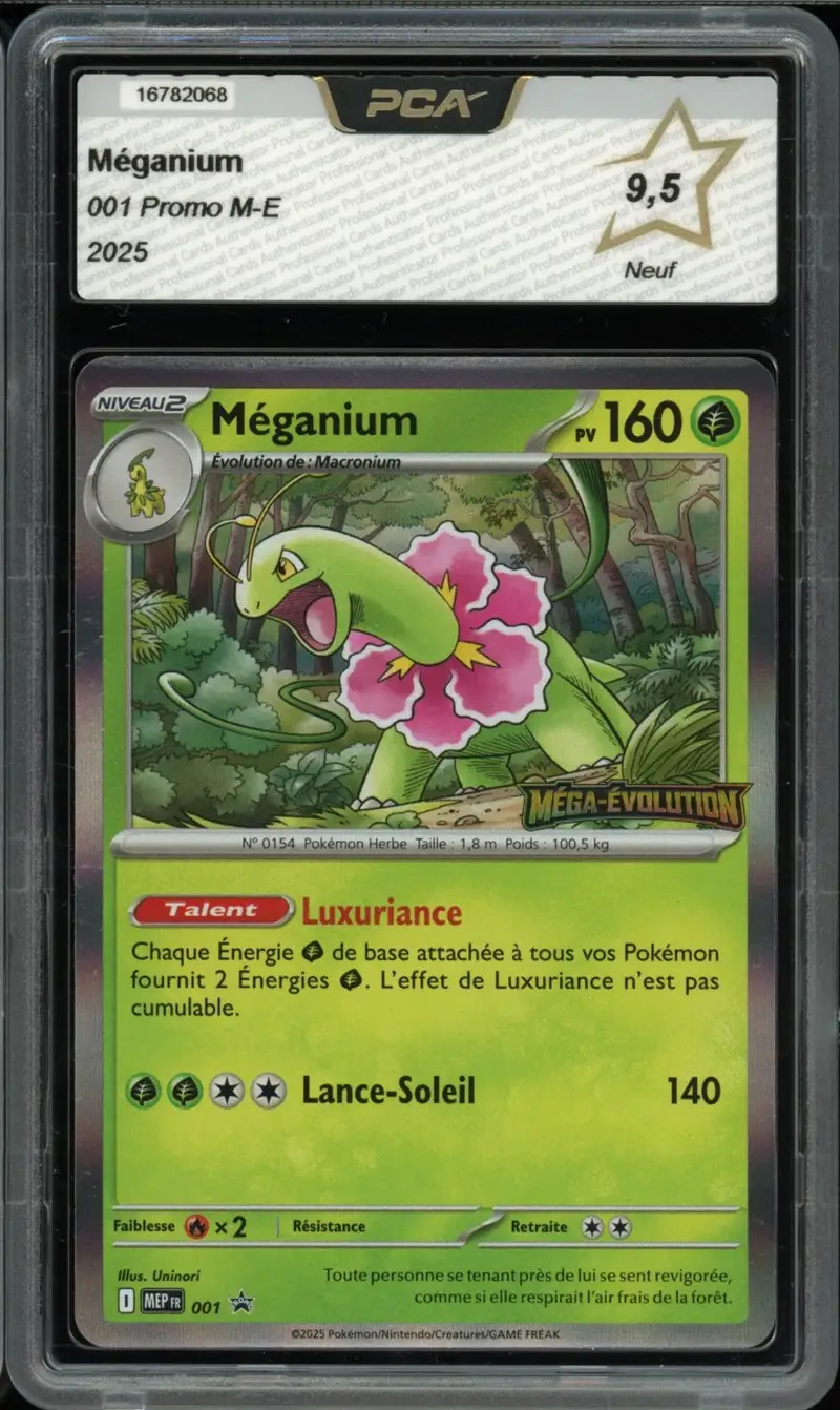 PCA 9.5 Méganium Holo Stamp