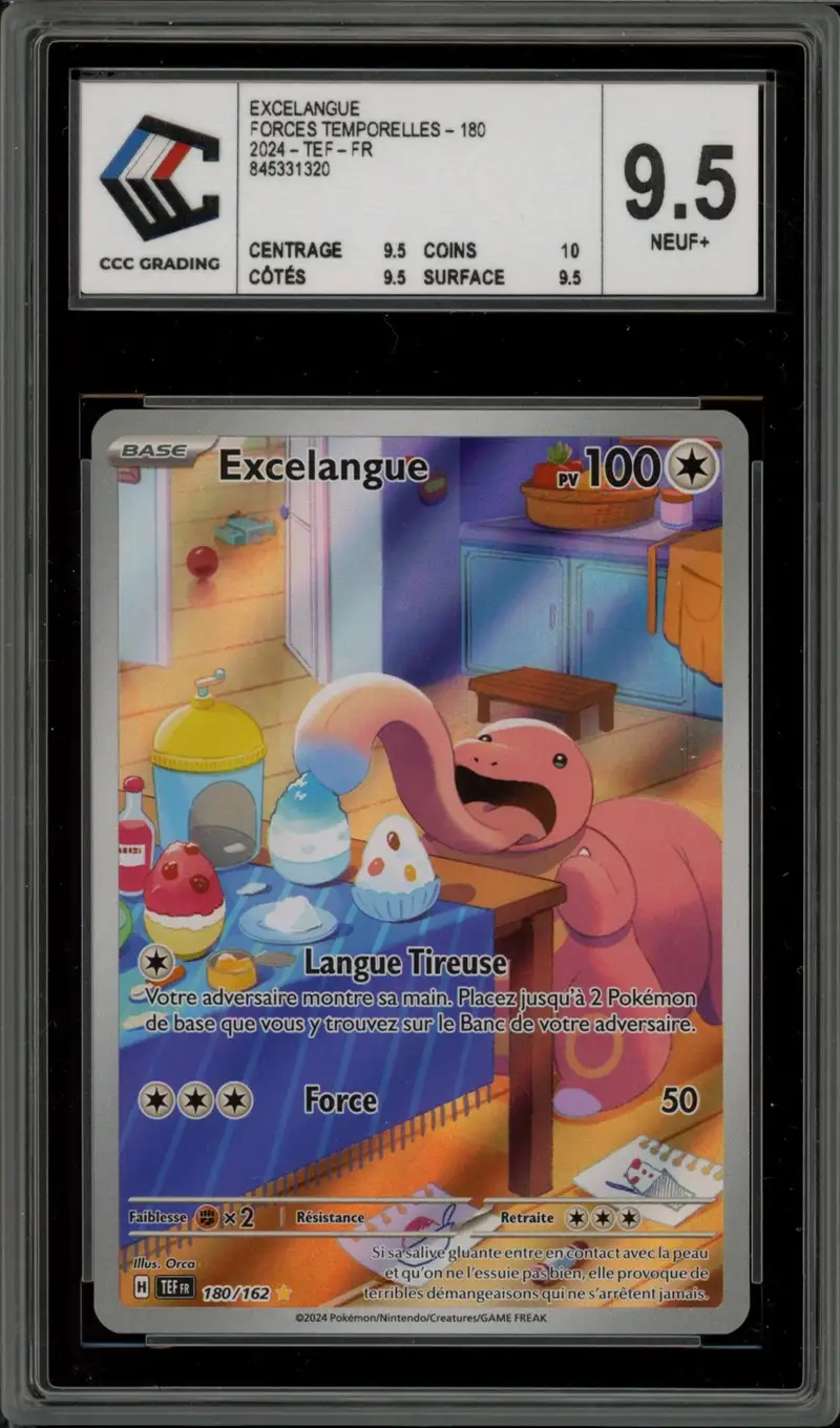 CCC 9.5 Excelangue