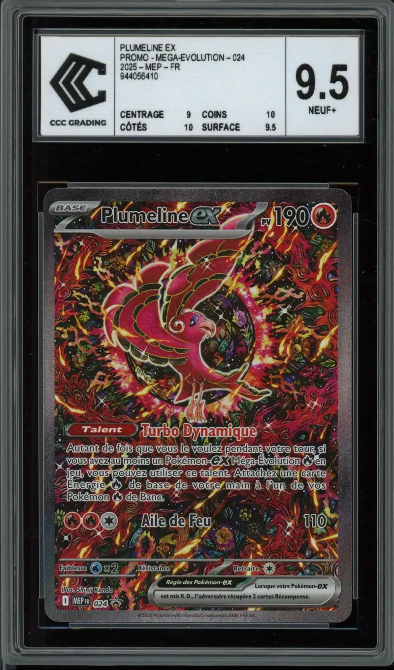 CCC 9.5 Plumeline Ex