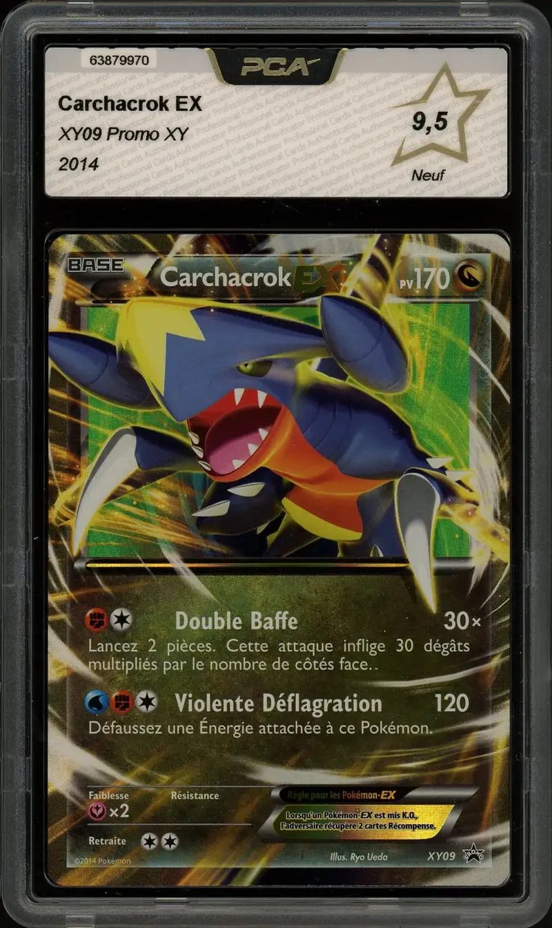 PCA 9.5 Carchacrok Ex