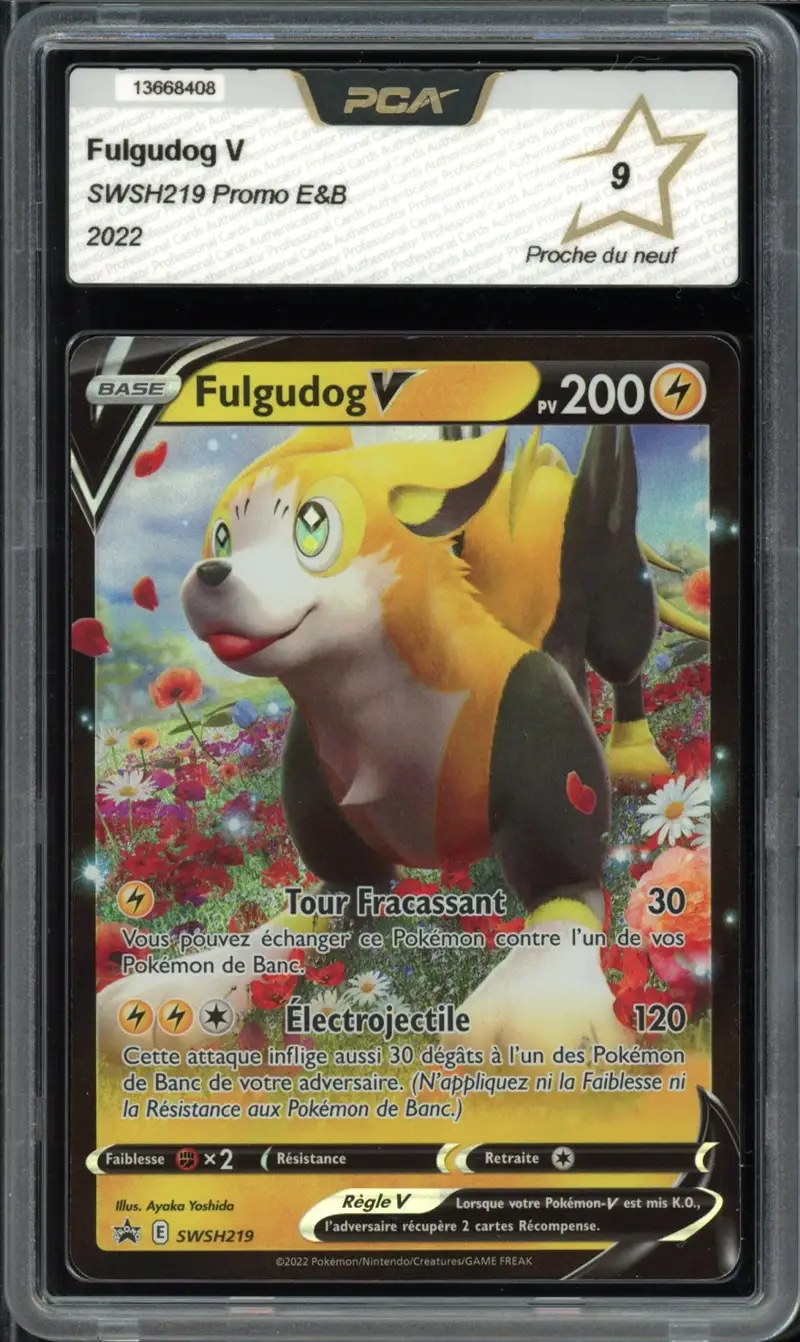 PCA 9 Fulgudog V