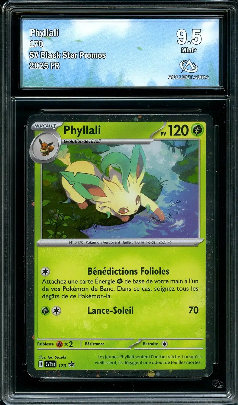 CA 9.5 Phyllali Holo