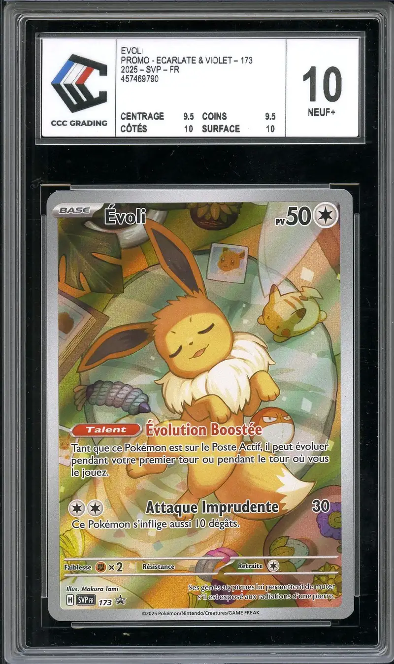 CCC 10 Evoli
