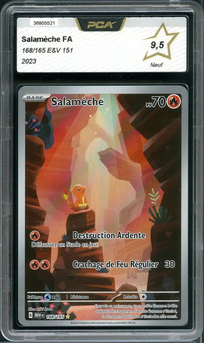 PCA 9.5 Salamèche