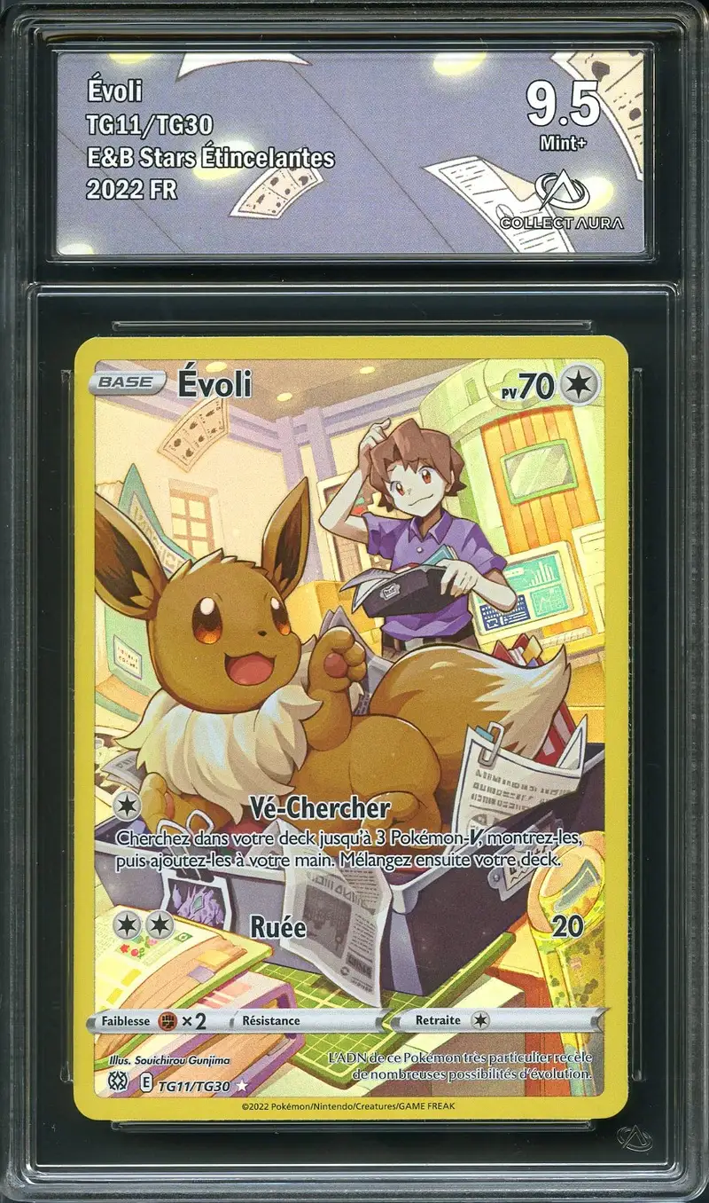 CA 9.5 Evoli
