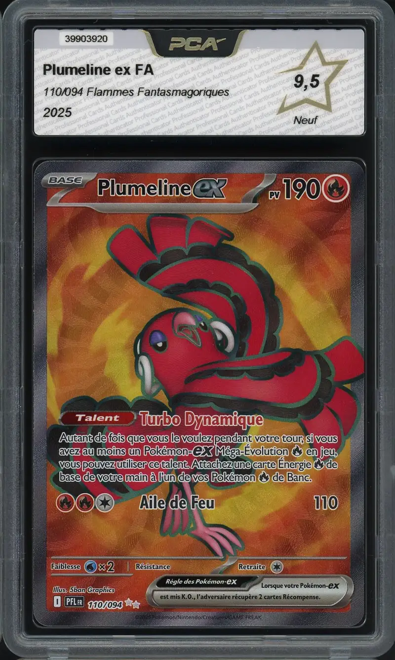 PCA 9.5 Plumeline Ex