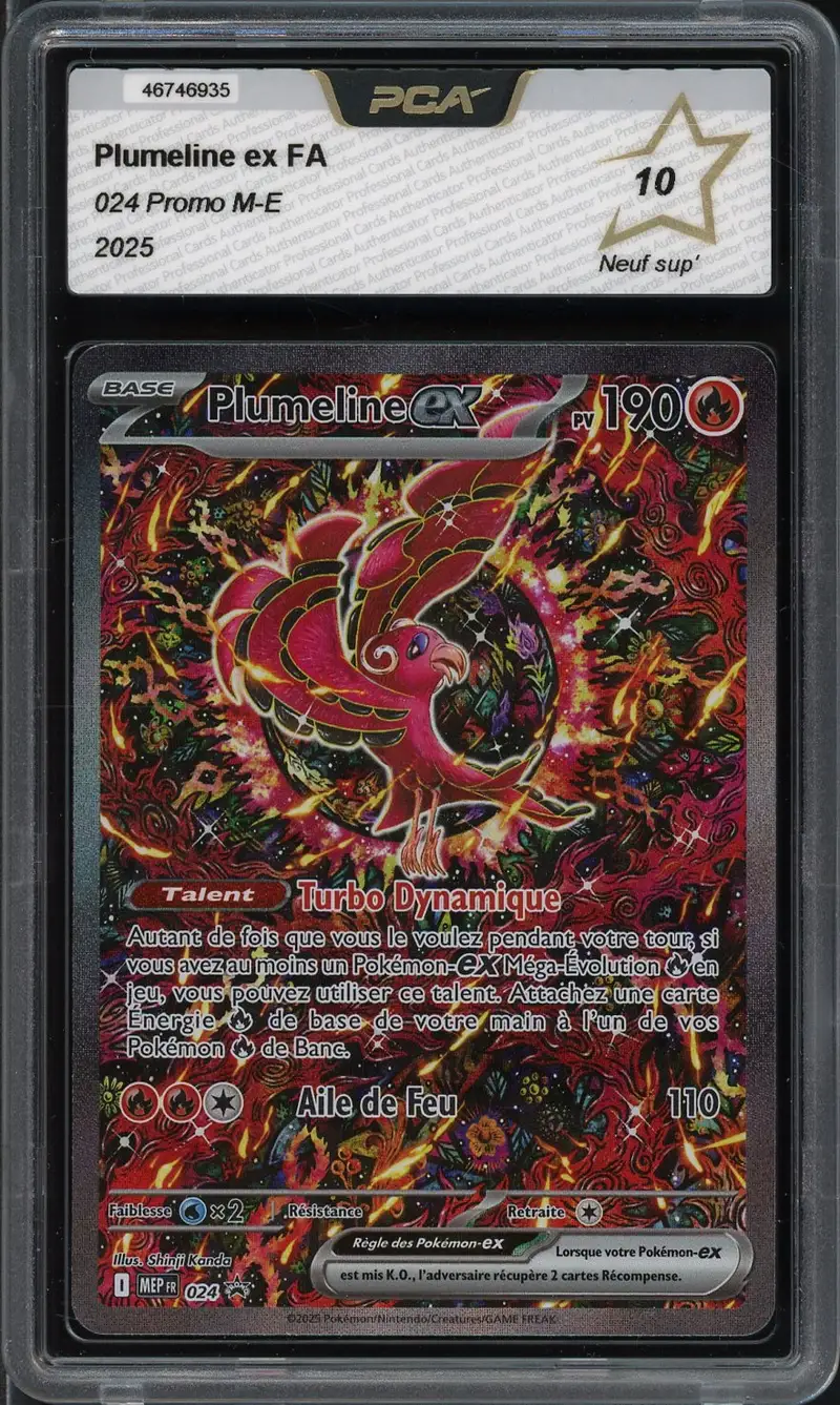 PCA 10 Plumeline Ex