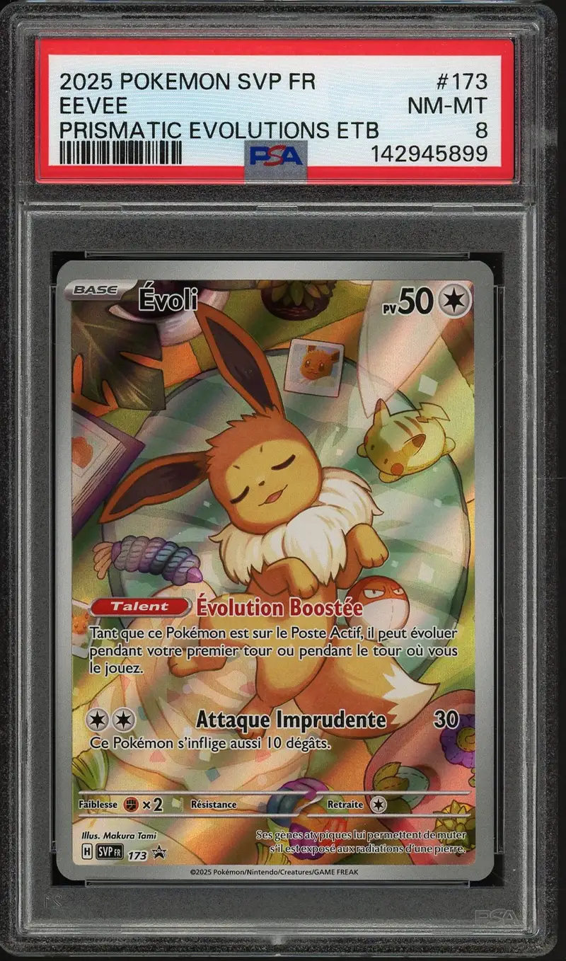 PSA 8 Evoli
