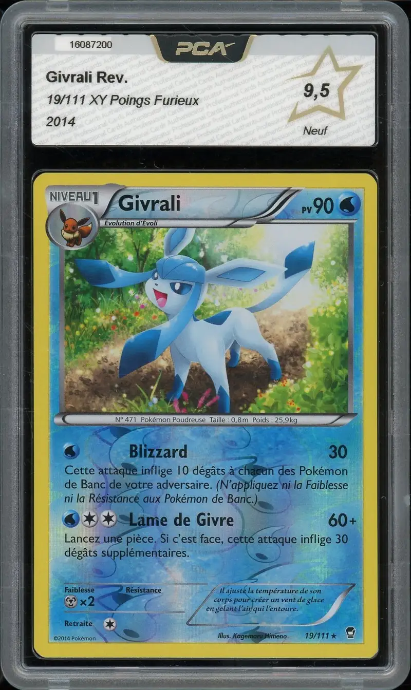 PCA 9.5 Givrali Reverse