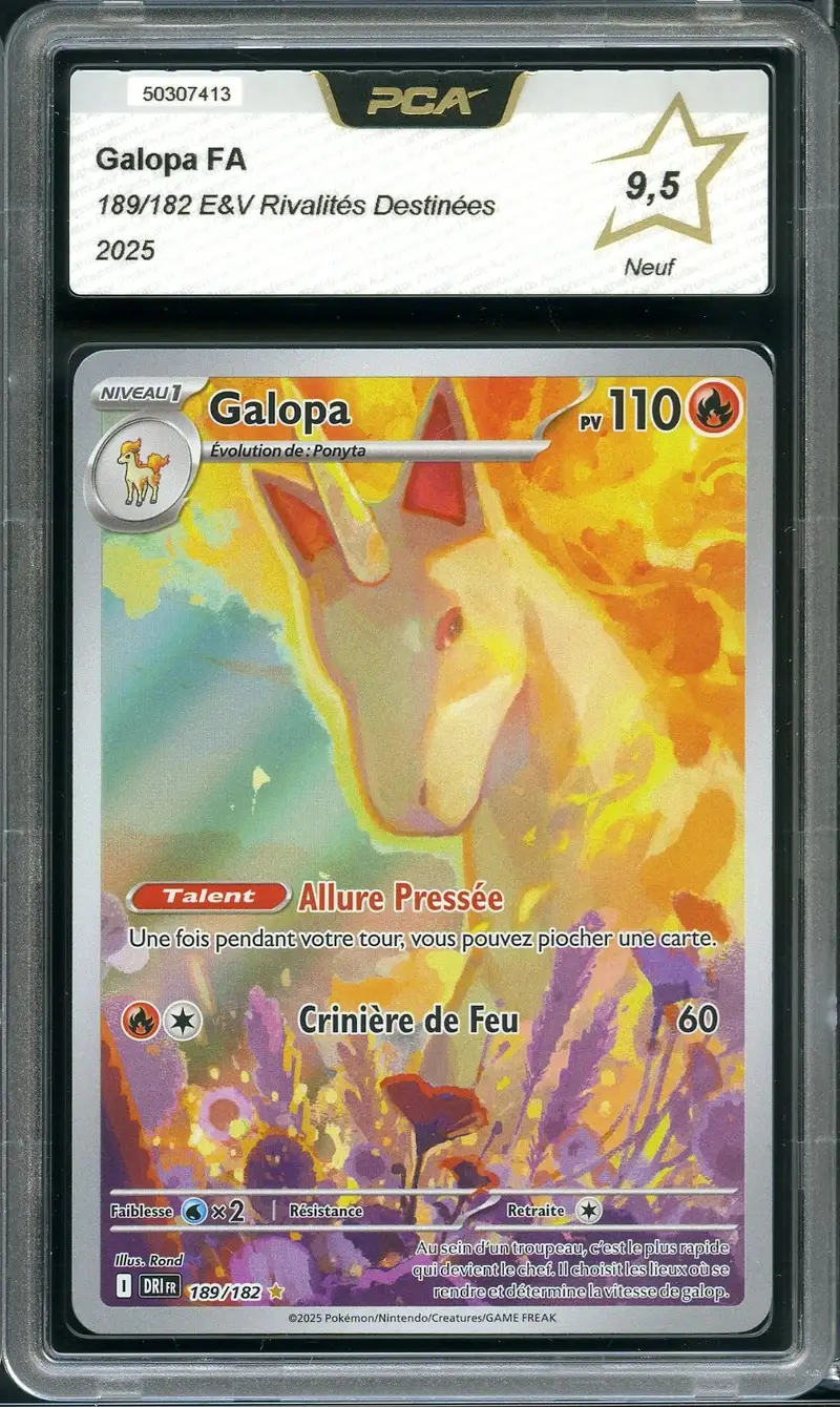 PCA 9.5 Galopa