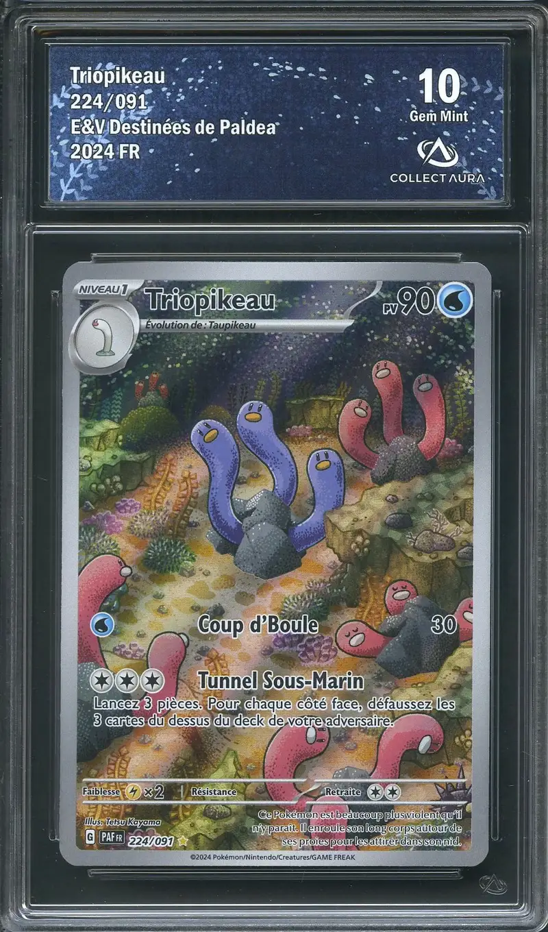 CA 10 Triopikeau