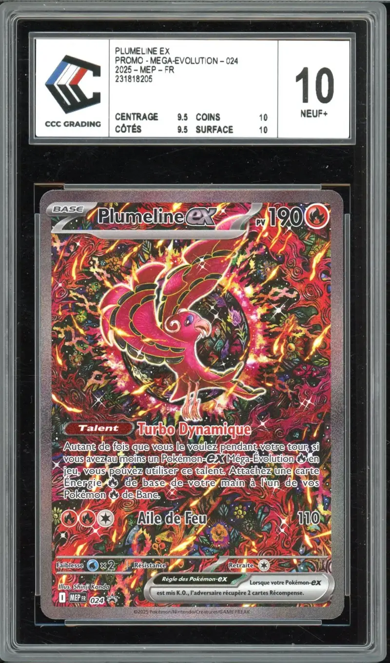 CCC 10 Plumeline Ex