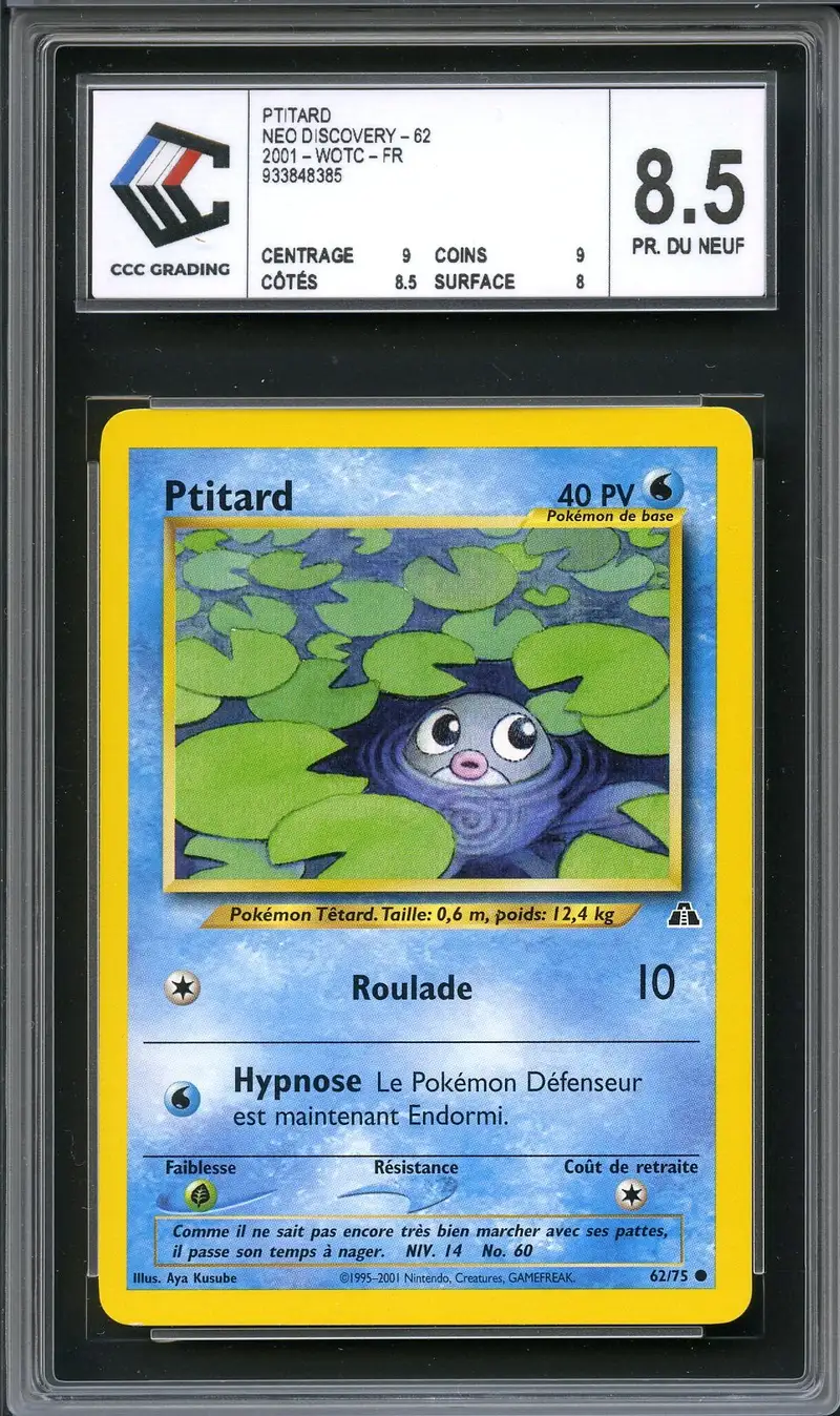 CCC 8.5 Ptitard