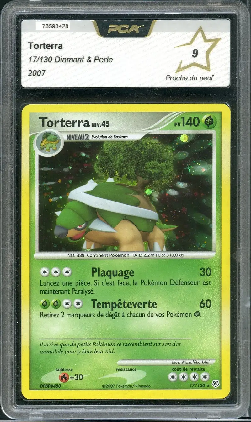 PCA 9 Torterra Holo