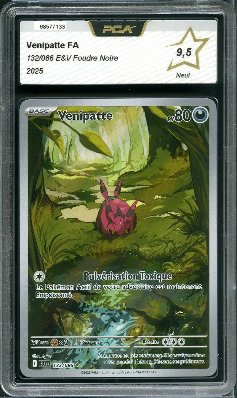 PCA 9.5 Venipatte