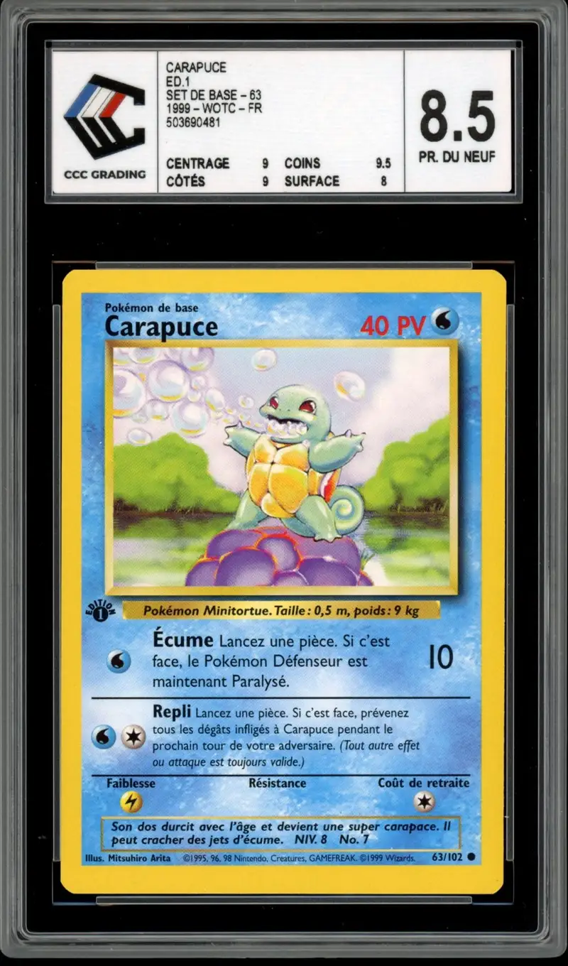 CCC 8.5 Carapuce